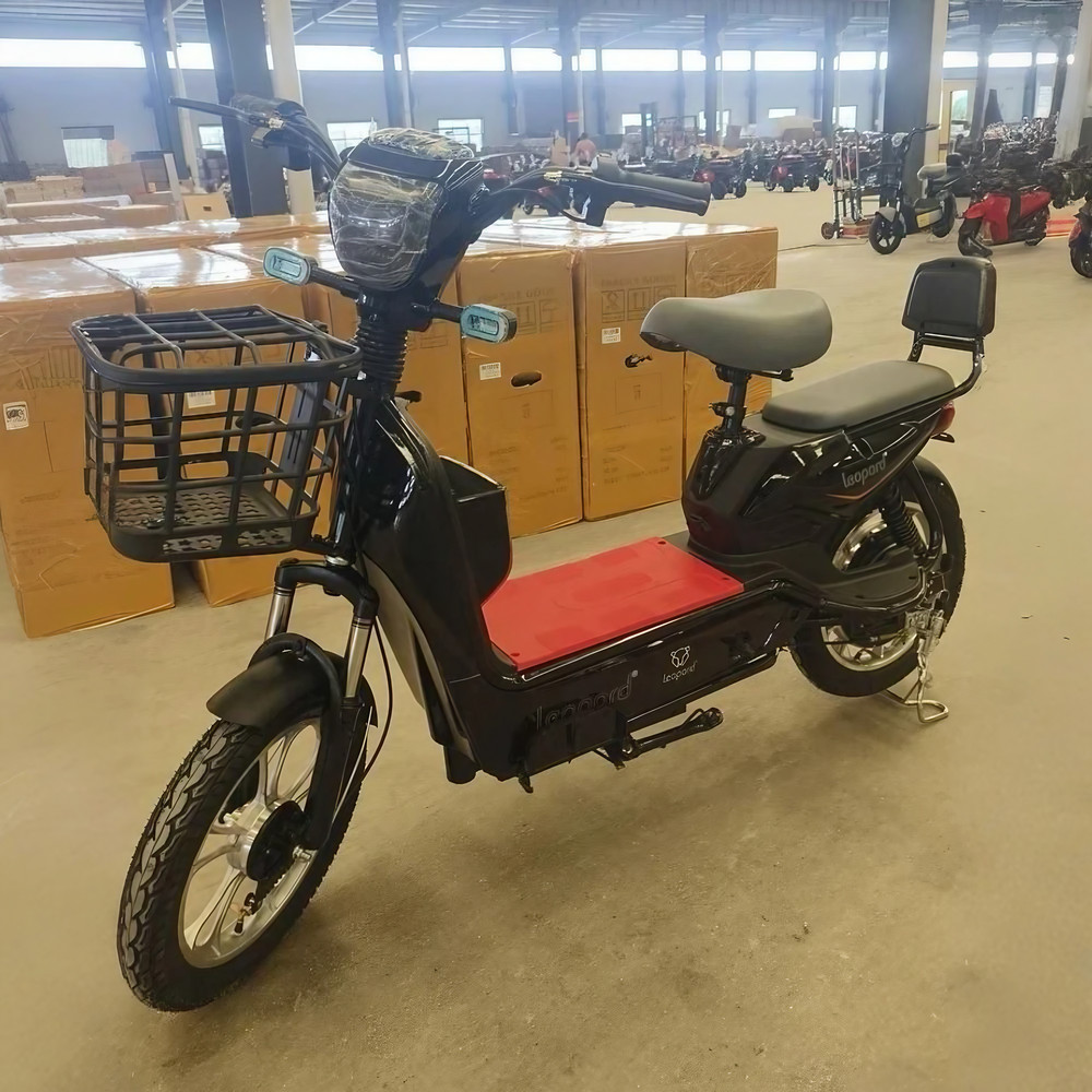 Leopard Serf R16, 48/20, 500W