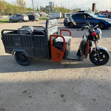 Трицикл MAXI серый 1200вт